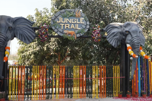 Jungle Trail Noida