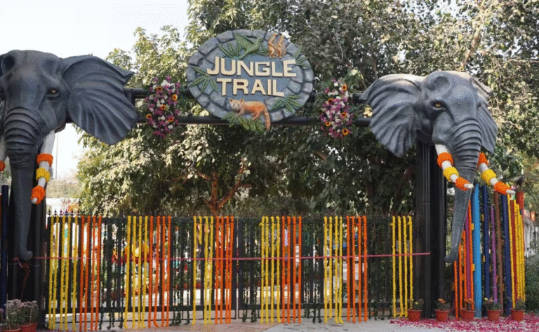 Jungle Trail Noida